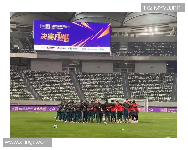 上海足球队比赛经验引发热议球迷对战术选择与球员表现展开激烈讨论