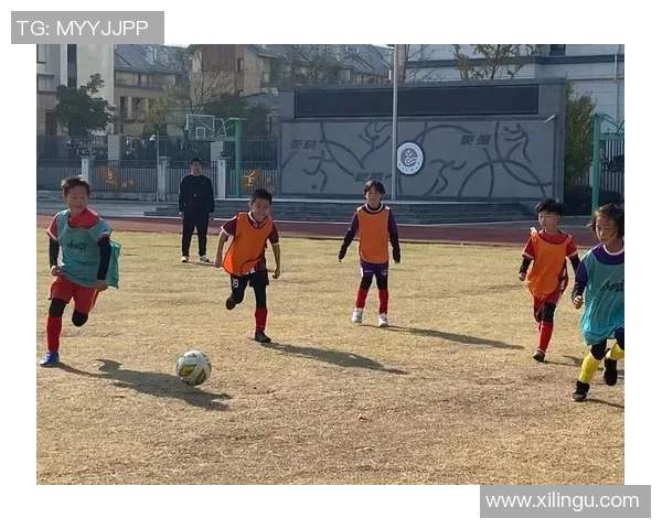 雒峰足球：激情与梦想交织的绿茵场上奋斗与荣耀的故事